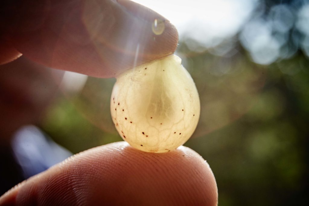 Visite in cantina & degustazioni 1 hotel maderno visite cantina uva